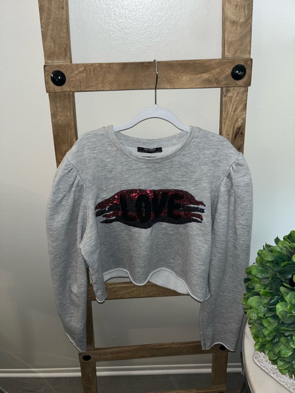 ZARA Spring/ summer US Size 28 Cropped Top Lg Sleeve Sweatshirt. Embroidered.